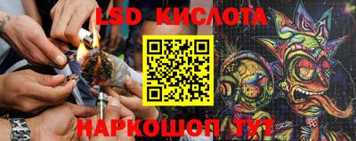 spice Берёзовский