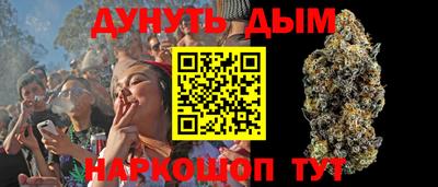 амф Бийск