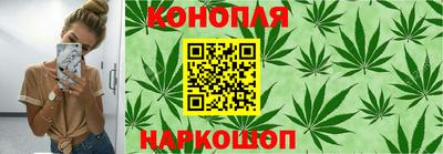 крисы Балаково