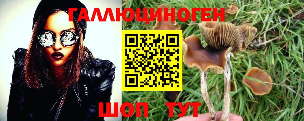 Псилоцибиновые грибы прущие грибы Бийск